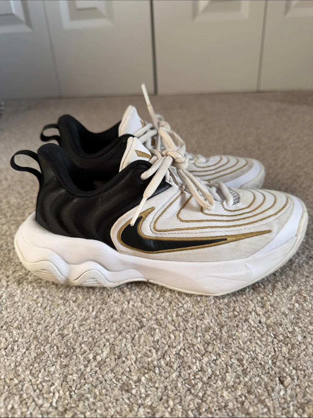 Giannis Nike kids shoes size 1Y